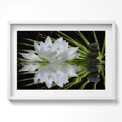 Obraz w ramie Lilia wodna i liście