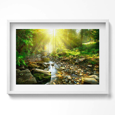 Obraz w ramie Leśny strumyk w promieniach słońca