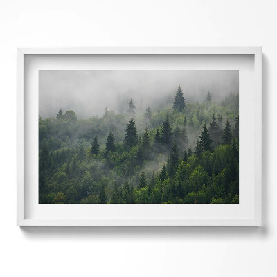 Obraz w ramie Pejzaż las we mgle