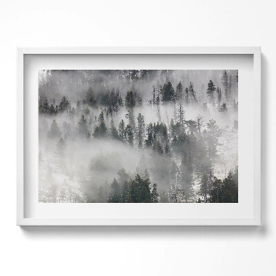 Obraz w ramie Pejzaż zamglony las