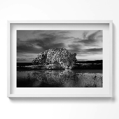 Obraz w ramie Czarnobiały lampart dzikie zwierzę