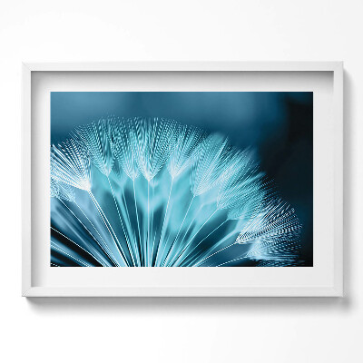 Obraz w ramie Zbliżenie na dmuchawiec