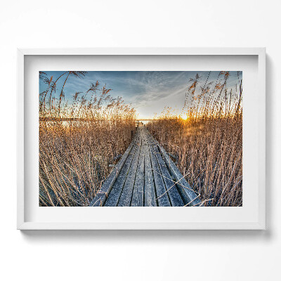 Obraz w ramie Drewniana droga wśród trwa