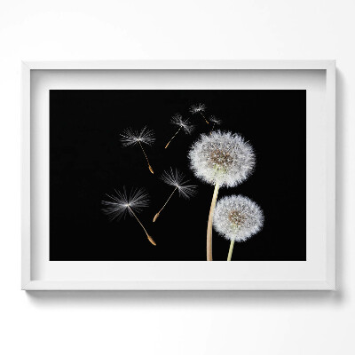 Obraz w ramie Dwa dmuchawce