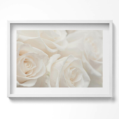 Obraz w ramie Białe delikatne różne