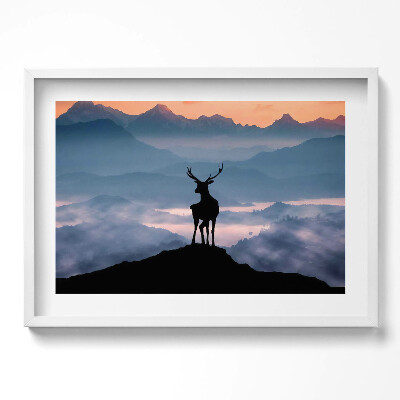 Obraz w ramie Jeleń na szczycie gór