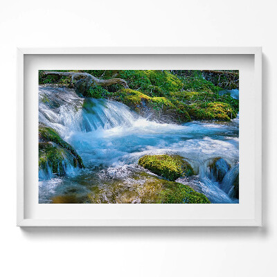 Obraz w ramie Rwący strumyk w lesie
