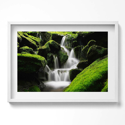 Obraz w ramie Dziki wodospad w dżungli