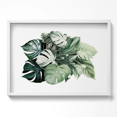 Obraz w ramie Malowane liście monstery