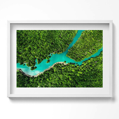 Obraz w ramie Rzeka w tropikalnych lasach z lotu ptaka