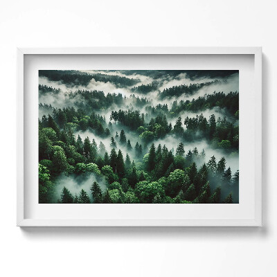 Obraz w ramie Pejzaż poranna mgła w lesie