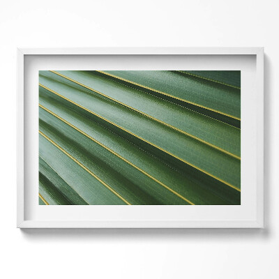 Obraz w ramie Faktura zielonej rośliny