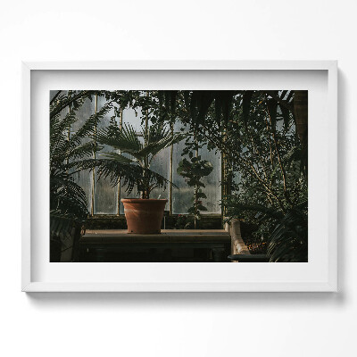 Obraz w ramie Vintage rośliny na oknie