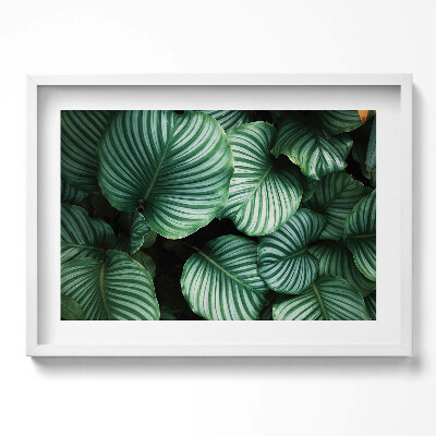 Obraz w ramie Wielkie zielone liście