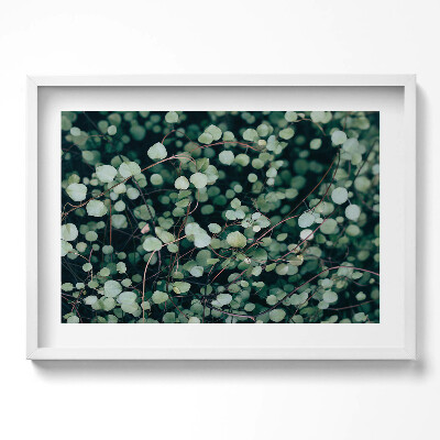 Obraz w ramie Droble listki rośliny