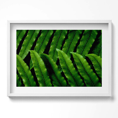 Obraz w ramie Zielone liście zbliżenie