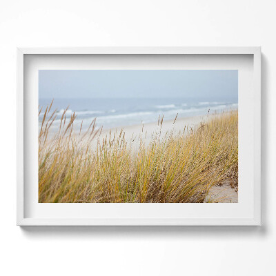 Obraz w ramie Pejzaż nadmorskiej plaży i traw