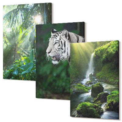 Zestaw obrazów na płótnie tryptyk Dżungla z białym tygrysem i dzikim wodospadem