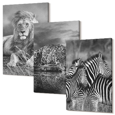 Zestaw obrazów na płótnie tryptyk Dzikie zwierzęta sawanny lew jaguar i zebry