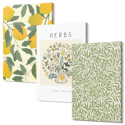 Zestaw obrazów tryptyk na ścianę Motywy cytrynowe z ziołami i liśćmi roślinnych