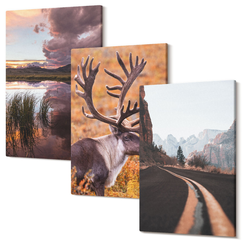 Zestaw obrazów na płótnie tryptyk Pejzaże górskie z reniferem i drogą w naturze