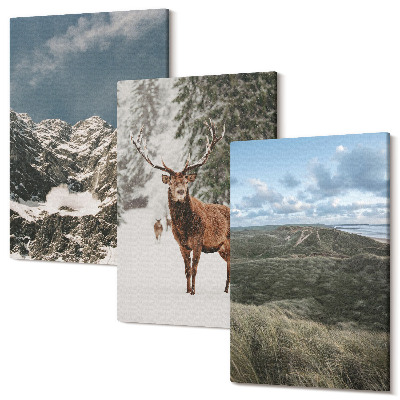 Zestaw obrazów na płótnie tryptyk Góry z śniegiem jeleń w lesie krajobrazy