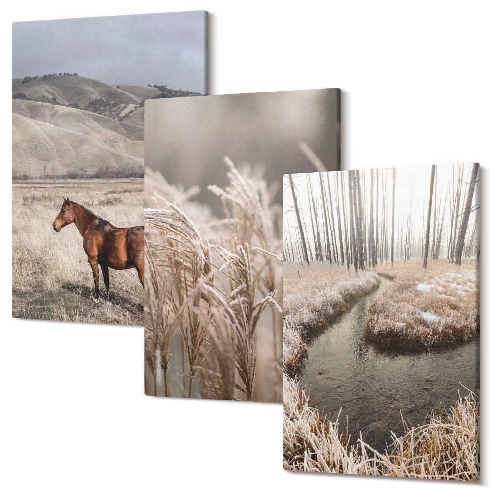 Zestaw obrazów tryptyk na ścianę Konie w krajobrazie z trawami i zimowym strumieniem