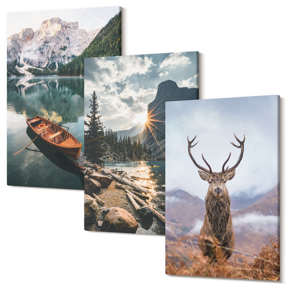 Zestaw obrazów 3 części tryptyk Górskie jezioro łódź zachód słońca jeleń w naturze