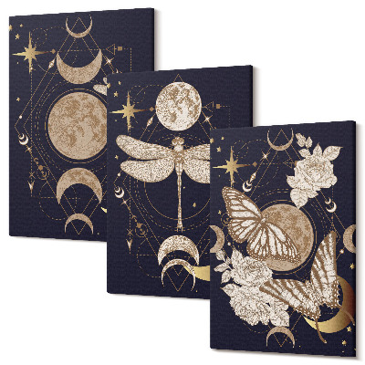Zestaw obrazów 3 części tryptyk Motywy przyrody z księżycem kosmosem i kwiatami