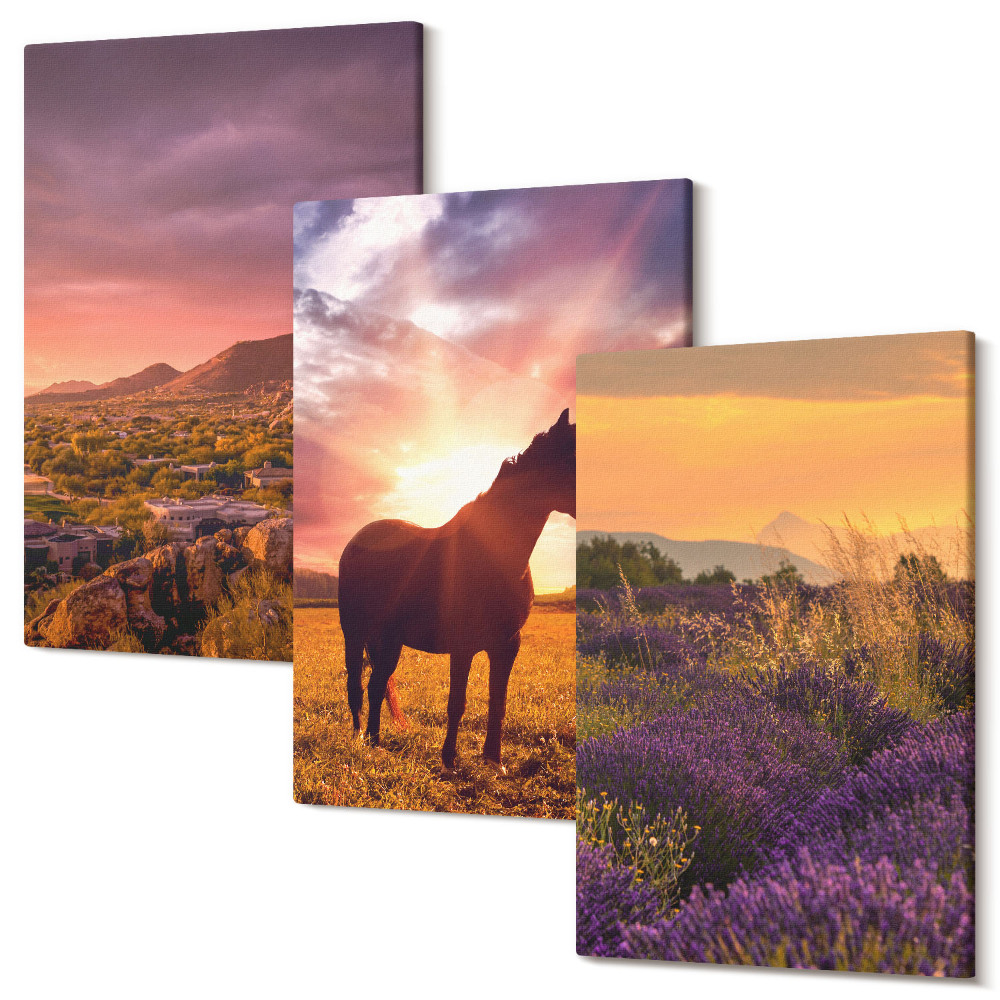 Zestaw obrazów 3 części tryptyk Krajobrazy górskie z koniem i polami lawendy
