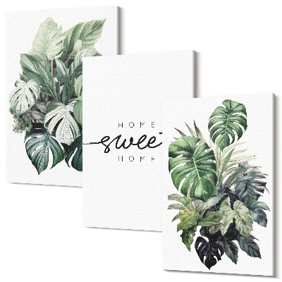 Zestaw obrazów tryptyk na ścianę Rośliny w zieleni z napisem Sweet Home