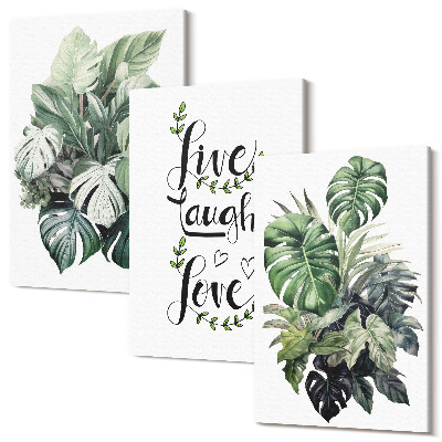 Zestaw obrazów 3 części tryptyk Rośliny liściaste z napisem żyj śmiej się kochaj