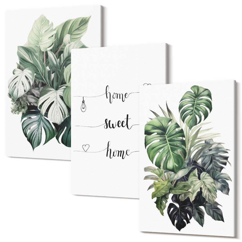 Zestaw obrazów na płótnie tryptyk Akwarelowe liście monstery home sweet home