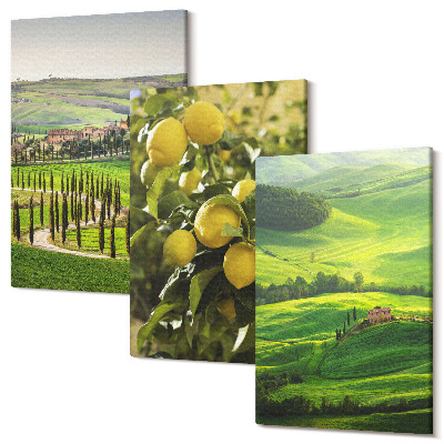 Zestaw obrazów tryptyk na ścianę Włoskie krajobrazy z cytrusami i zielonymi wzgórzami