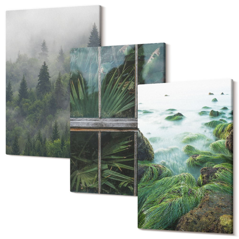 Zestaw obrazów 3 części tryptyk Las we mgle brzeg rzeki i szklarnia z roślinami