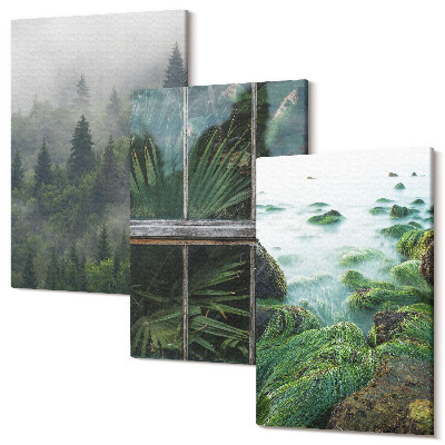 Zestaw obrazów 3 części tryptyk Las we mgle brzeg rzeki i szklarnia z roślinami