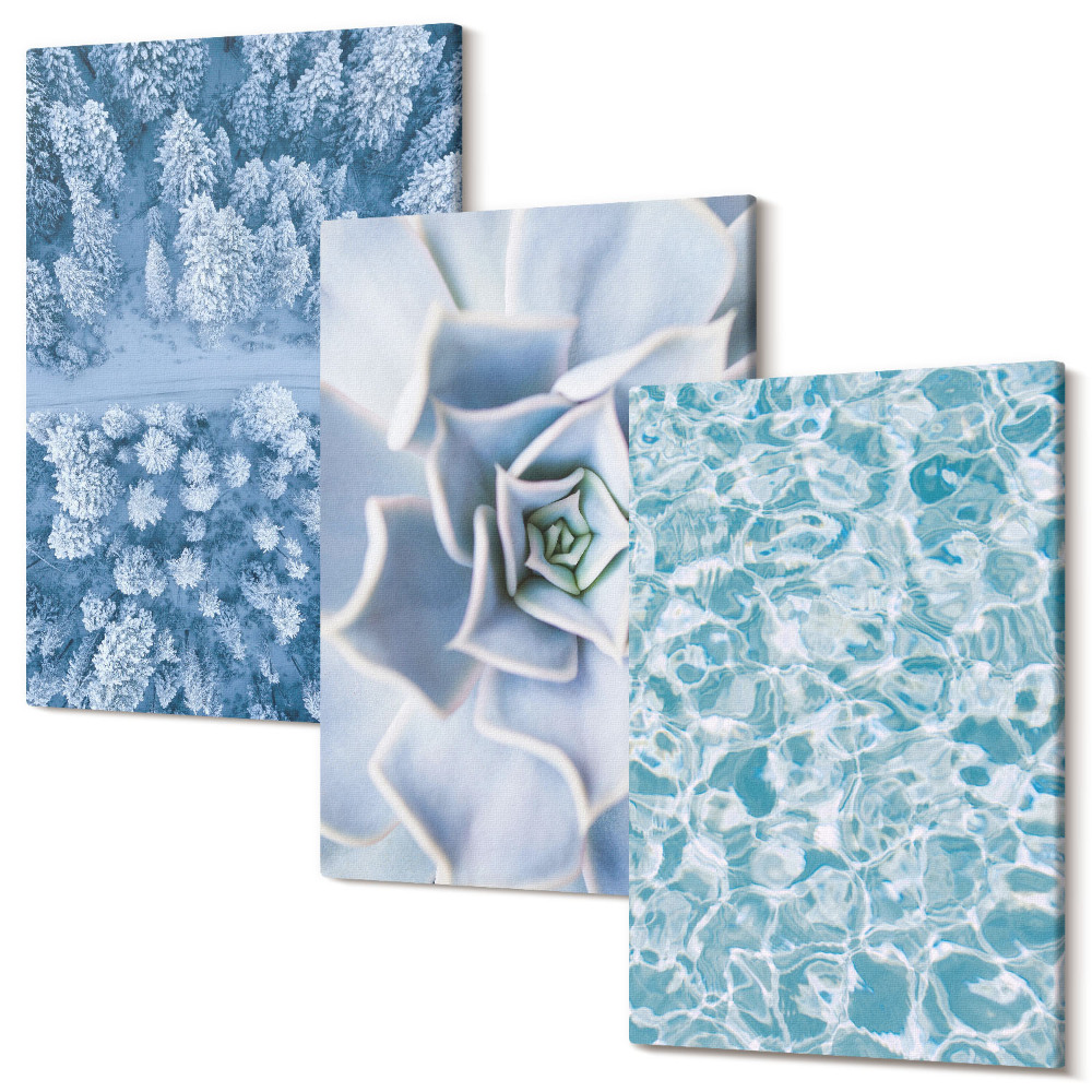 Zestaw obrazów tryptyk na ścianę Zimowy las niebieski kwiat błękitna tafla wody