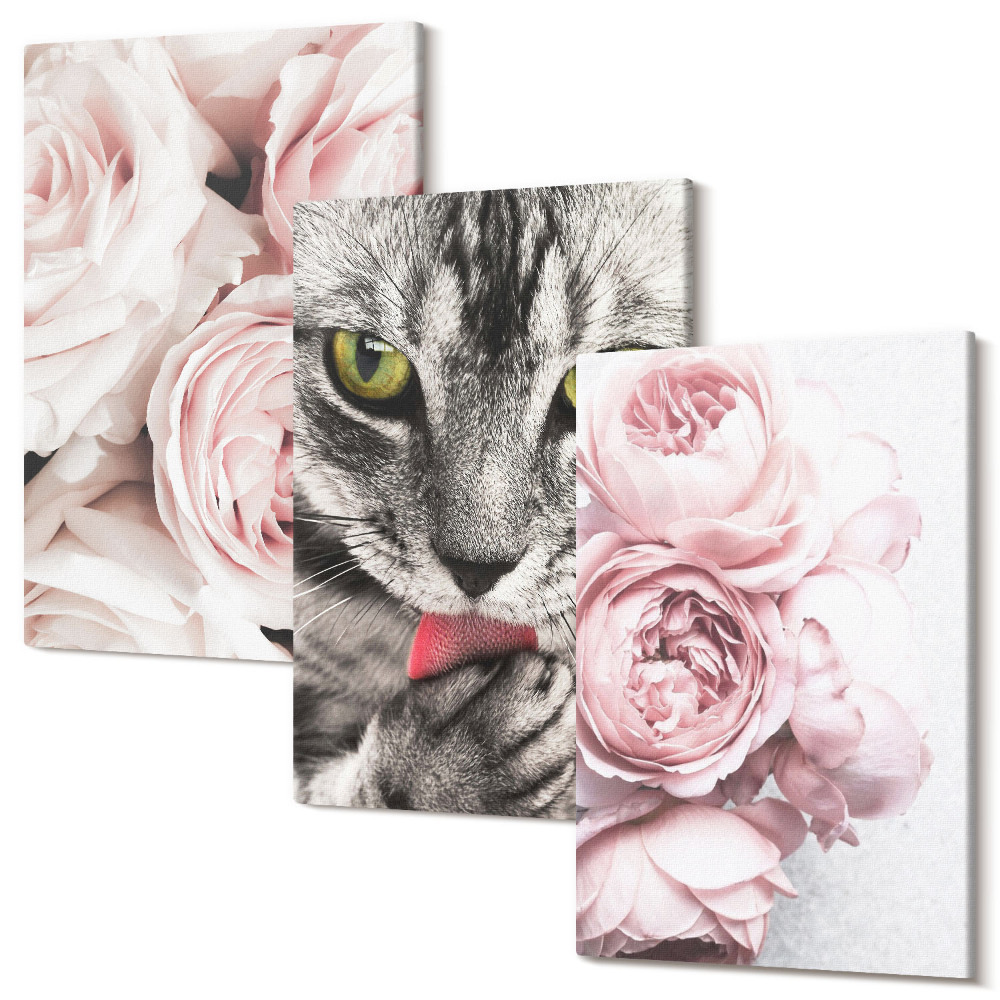 Zestaw obrazów na płótnie tryptyk Kot wśród różowych kwiatów róż i piwonii