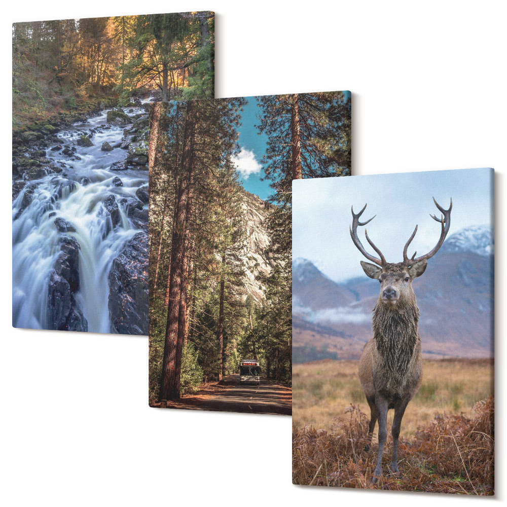 Zestaw obrazów 3 części tryptyk Wodospad w lesie góry i jeleń w naturze