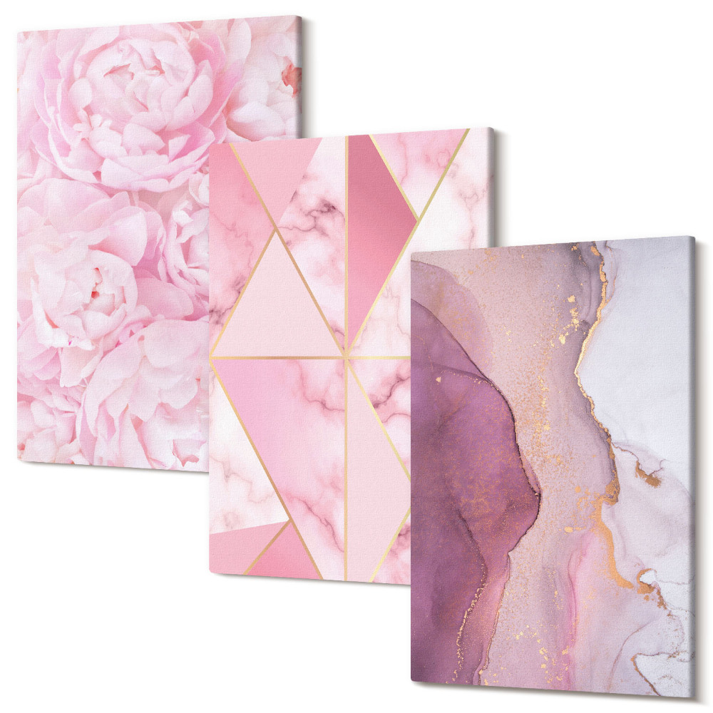 Zestaw obrazów 3 części tryptyk Różowe kwiaty piwonie geometryczne wzory