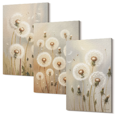 Zestaw obrazów na płótnie tryptyk Białe dmuchawce na tle jasnych kolorów