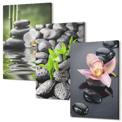 Zestaw obrazów tryptyk na ścianę Spokojna kompozycja zen kamienie z kwiatami na wodzie