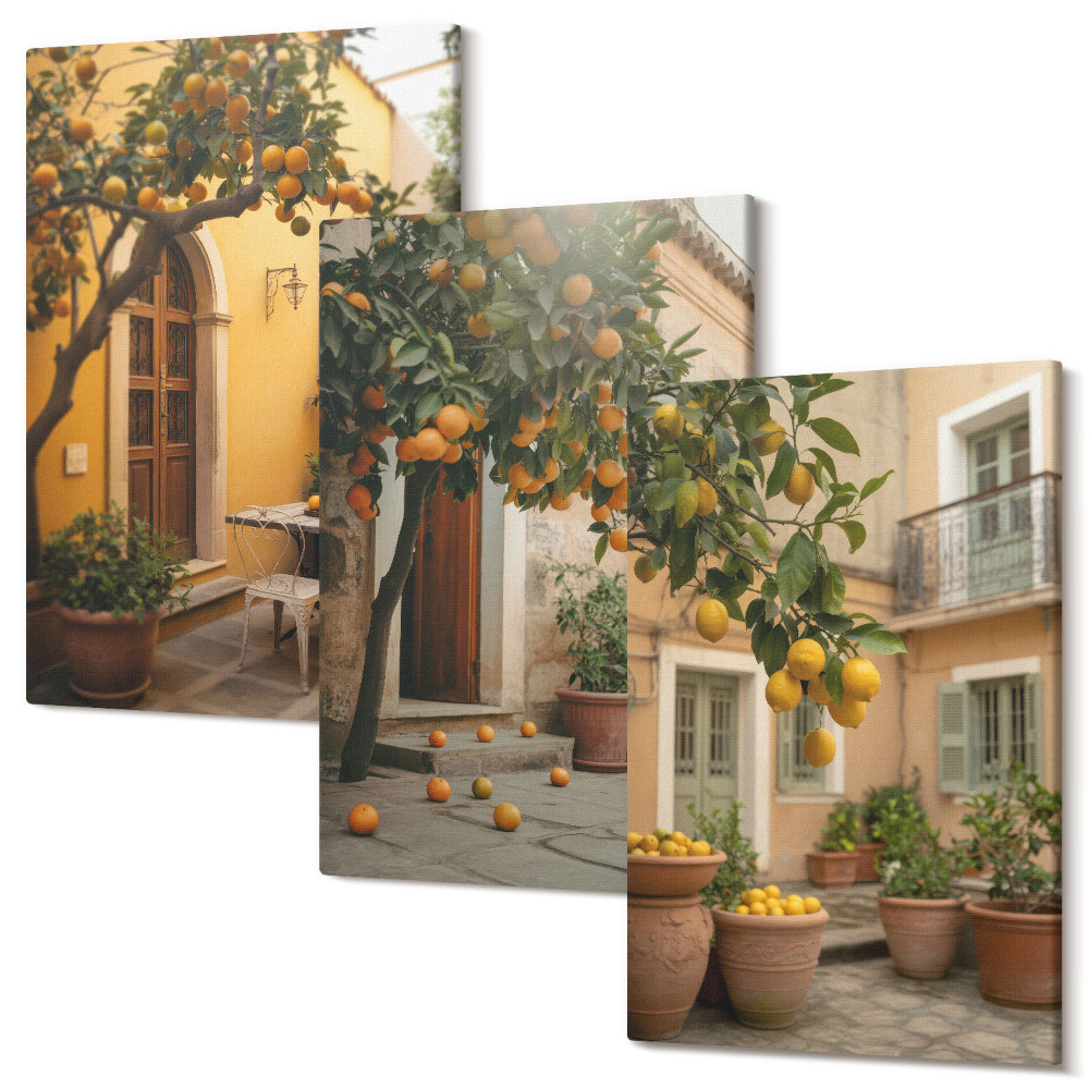 Zestaw obrazów tryptyk na ścianę Ogród z drzewami cytrusowymi w słonecznym otoczeniu