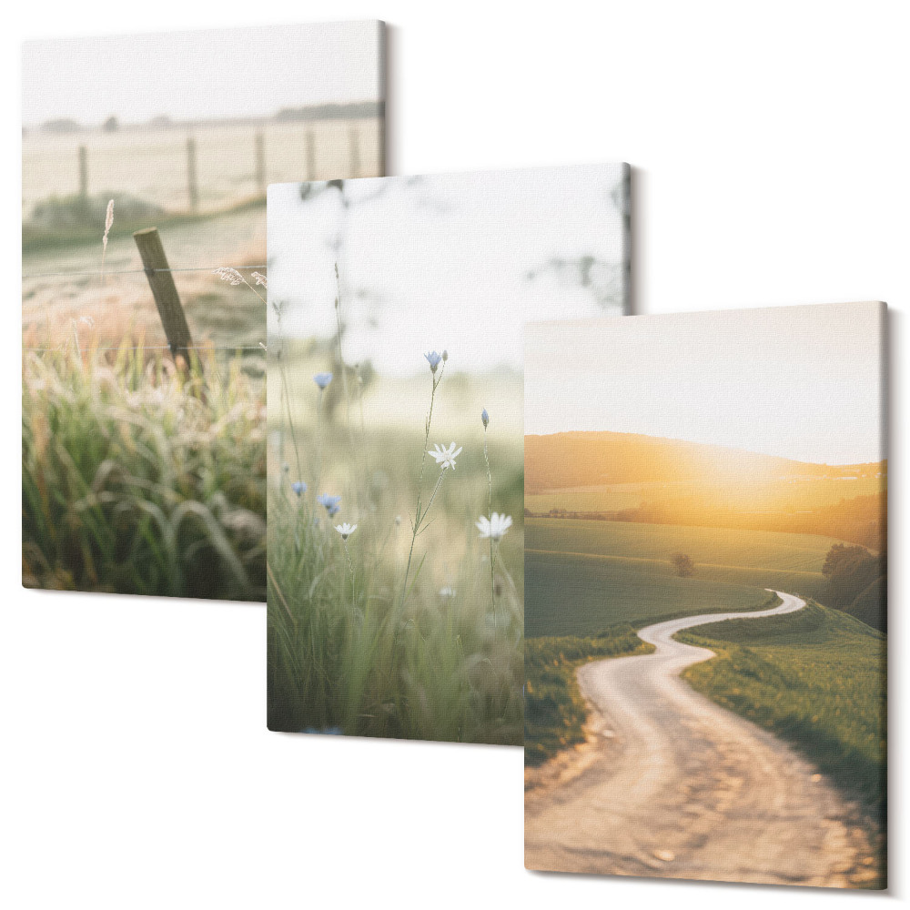 Zestaw obrazów tryptyk na ścianę Krajobraz z łąką drogą i zachodem słońca