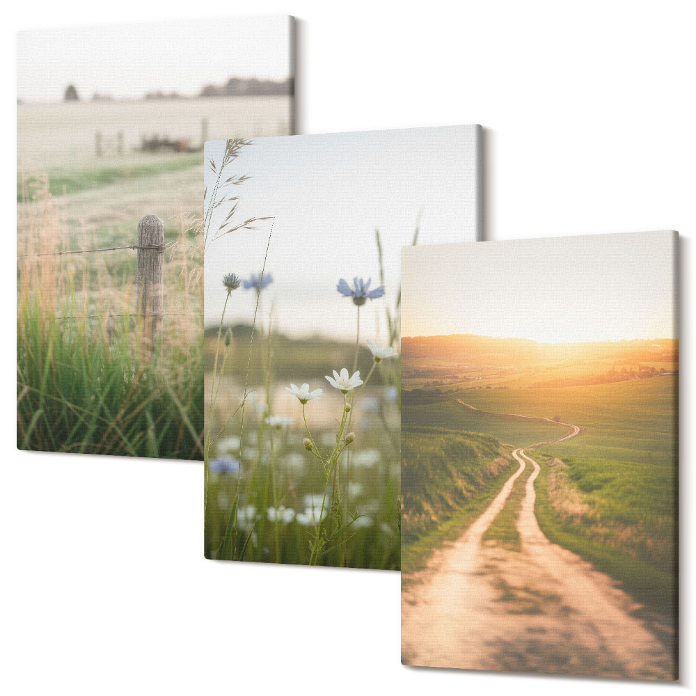 Zestaw obrazów 3 części tryptyk Krajobrazy natury z polami i ścieżką w słońcu