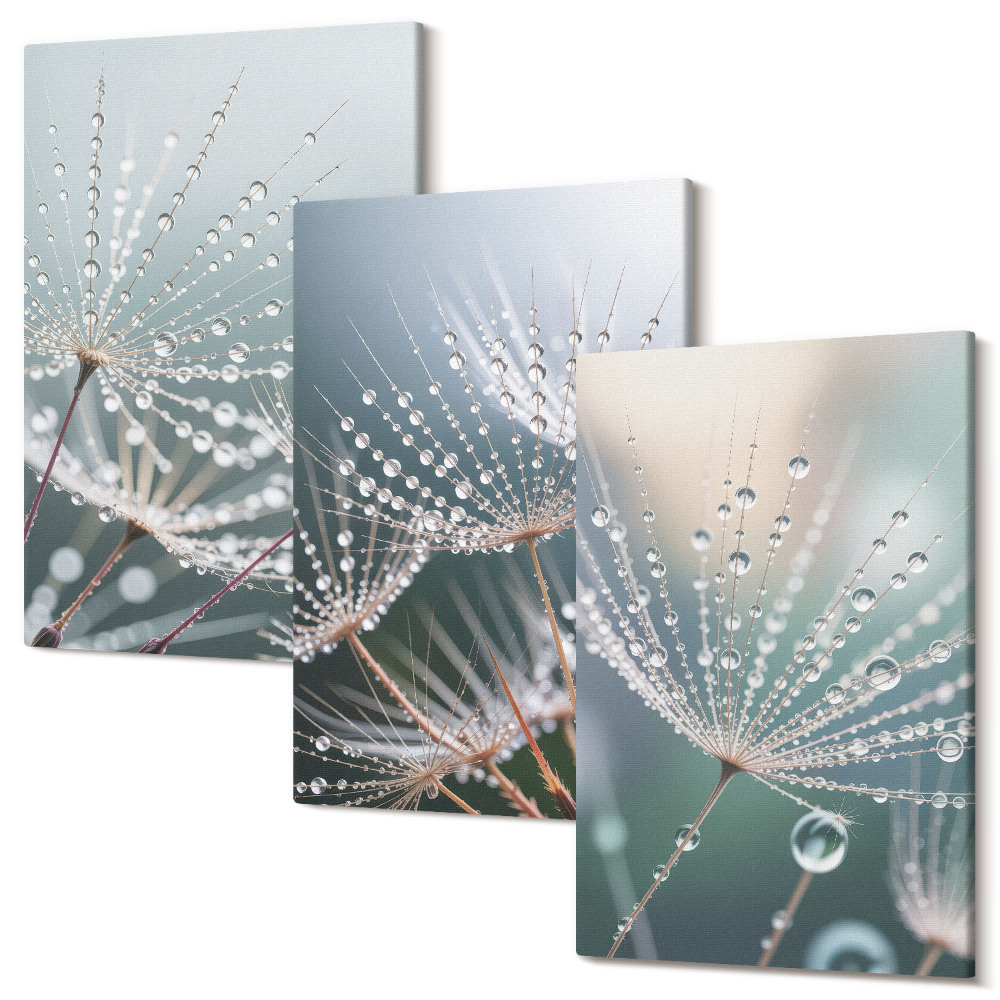 Zestaw obrazów tryptyk na ścianę Krople wody na delikatnych pędach dmuchawców