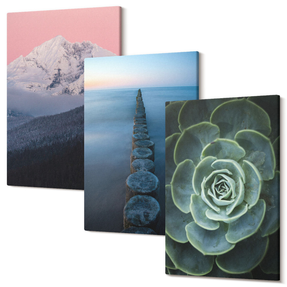 Zestaw obrazów 3 części tryptyk Góry z różowym niebem woda i zielony sukulent