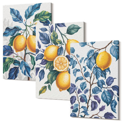 Zestaw obrazów na płótnie tryptyk Cytryny na gałęziach z błękitnymi liśćmi