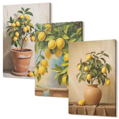 Zestaw obrazów na płótnie tryptyk Cytrynowe drzewka w doniczkach i wazonach