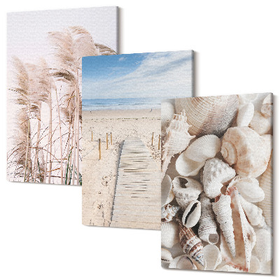 Zestaw obrazów 3 części tryptyk Piaszczysta plaża z muszlami i trawą nadmorską